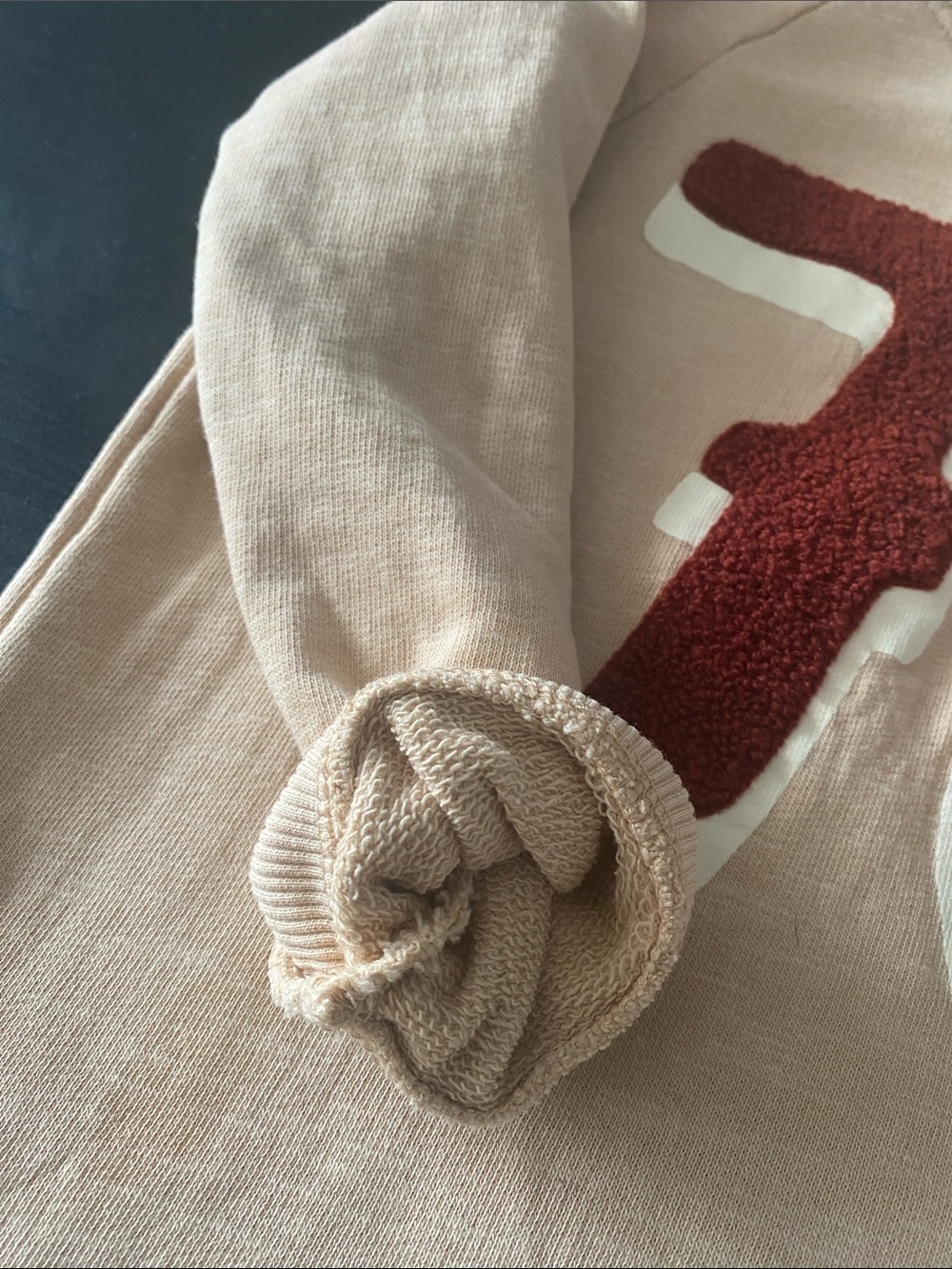 H&M Kids 100% Cotton Varsity Sweatshirt Beige Red Chenille Patch 78 2T 3T EUC - Picture 5 of 11